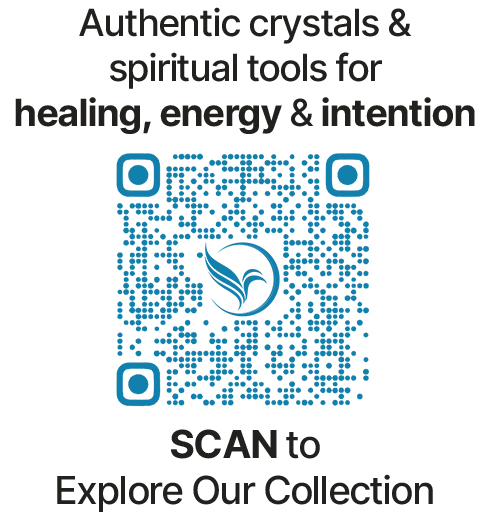 scan our collection