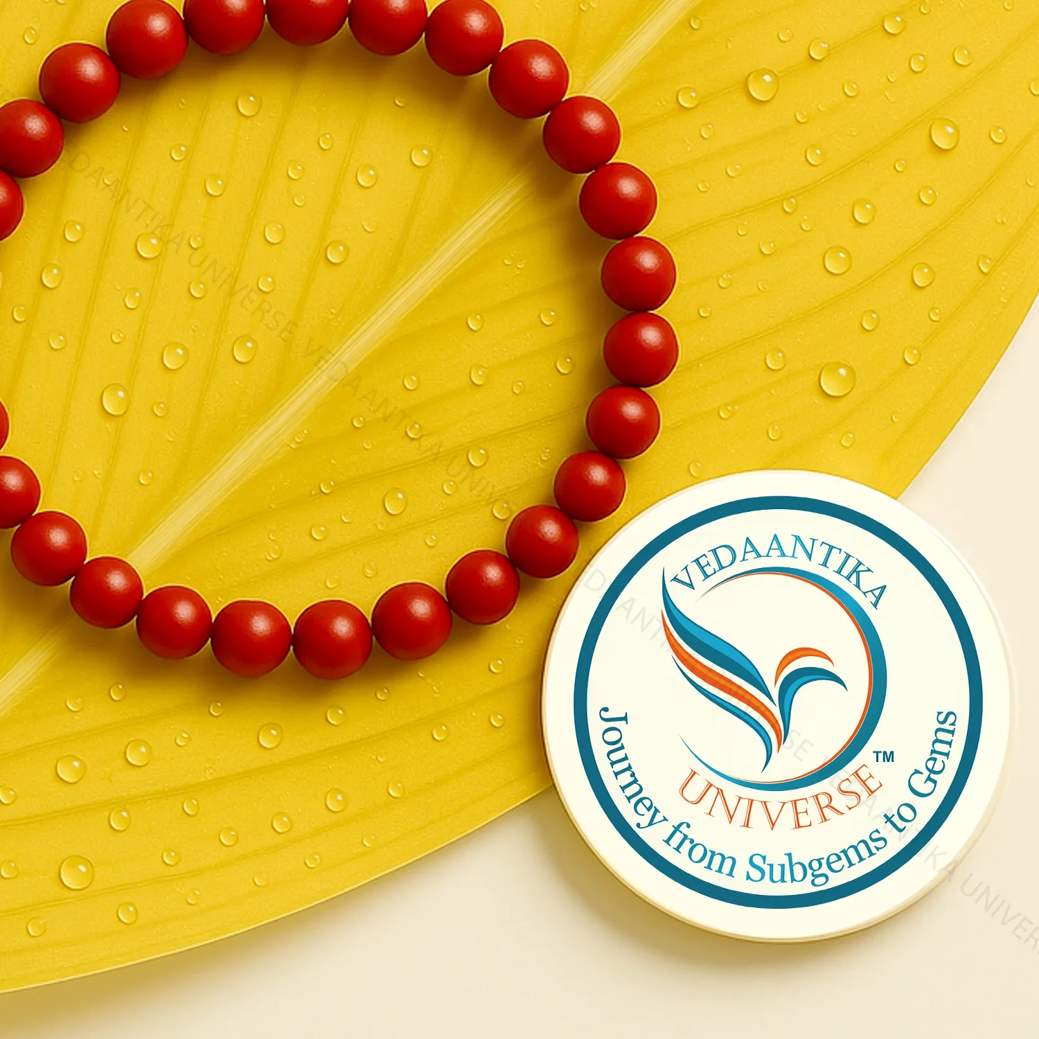 Natural CORAL (Moonga) Bracelet for confidence and energy