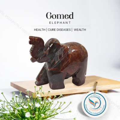 Gomed Elephant