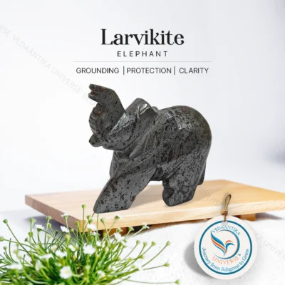 Larvikite Elephant