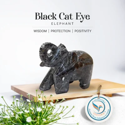 Black Cat Eye Elephant