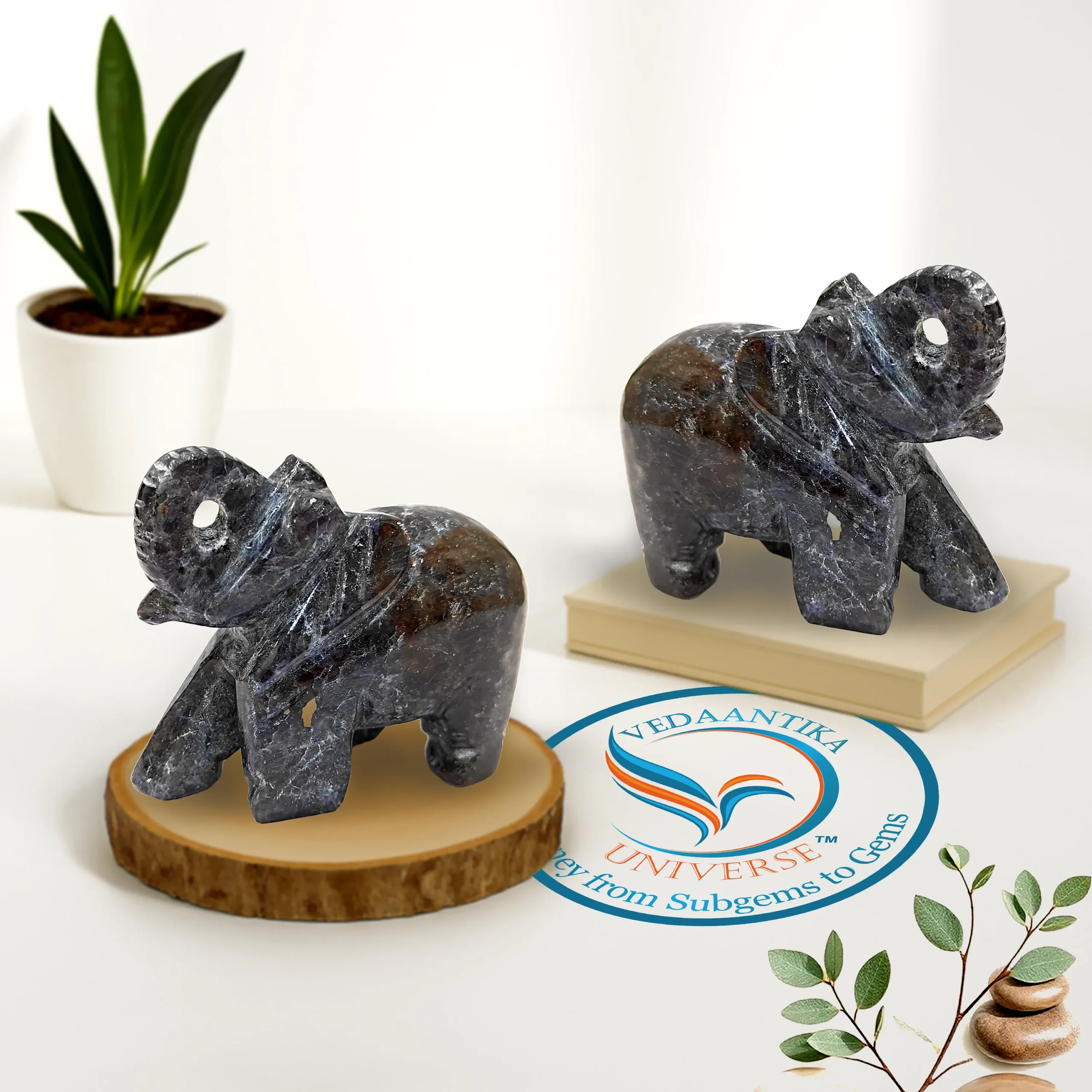Black Cat Eye Elephant Natural Stone
