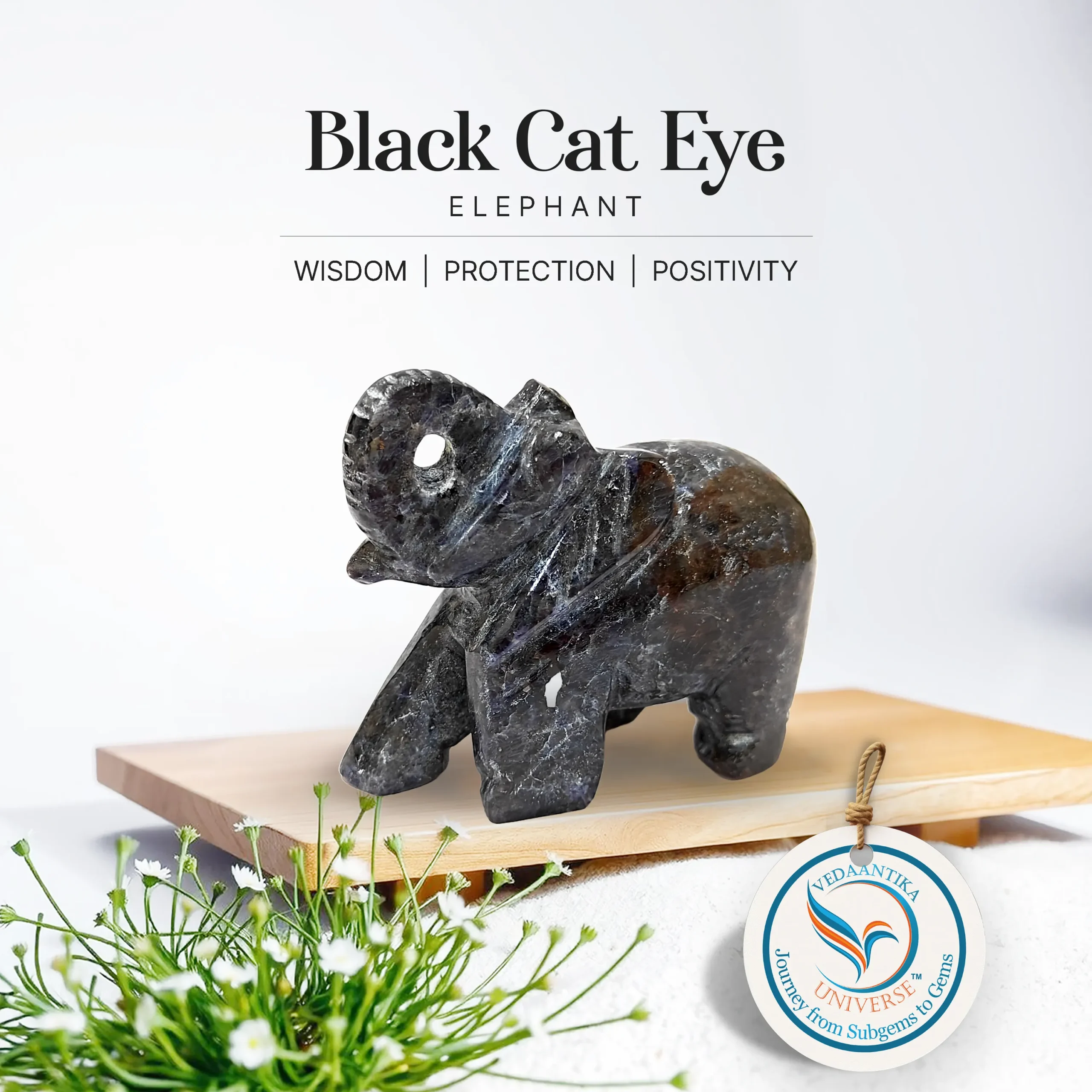 Black Cat Eye Elephant