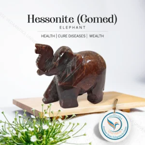Hessonite Elephant (Gomed)