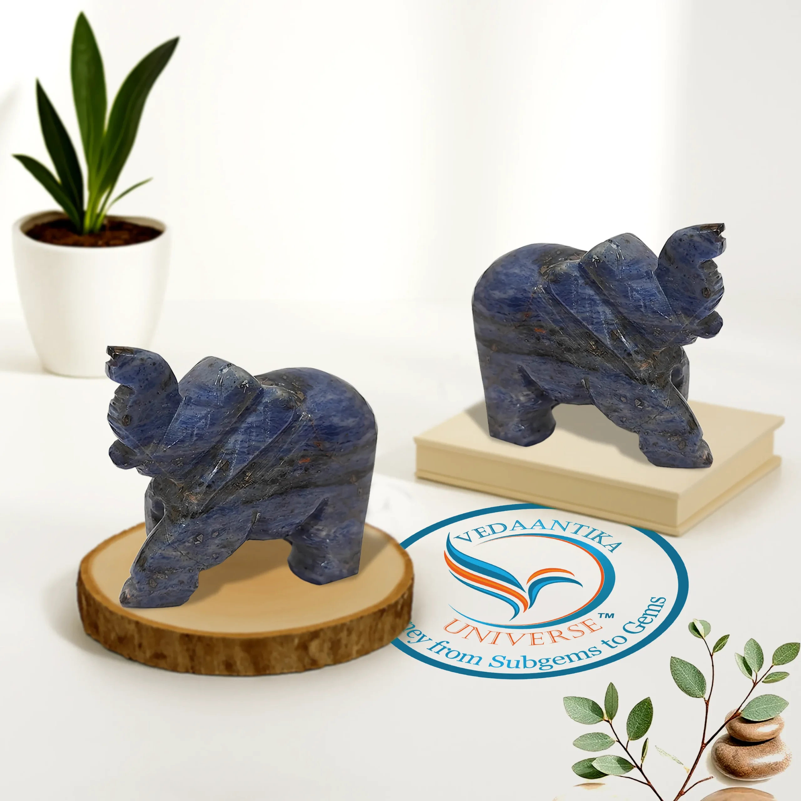 Sodalite Elephant Natural