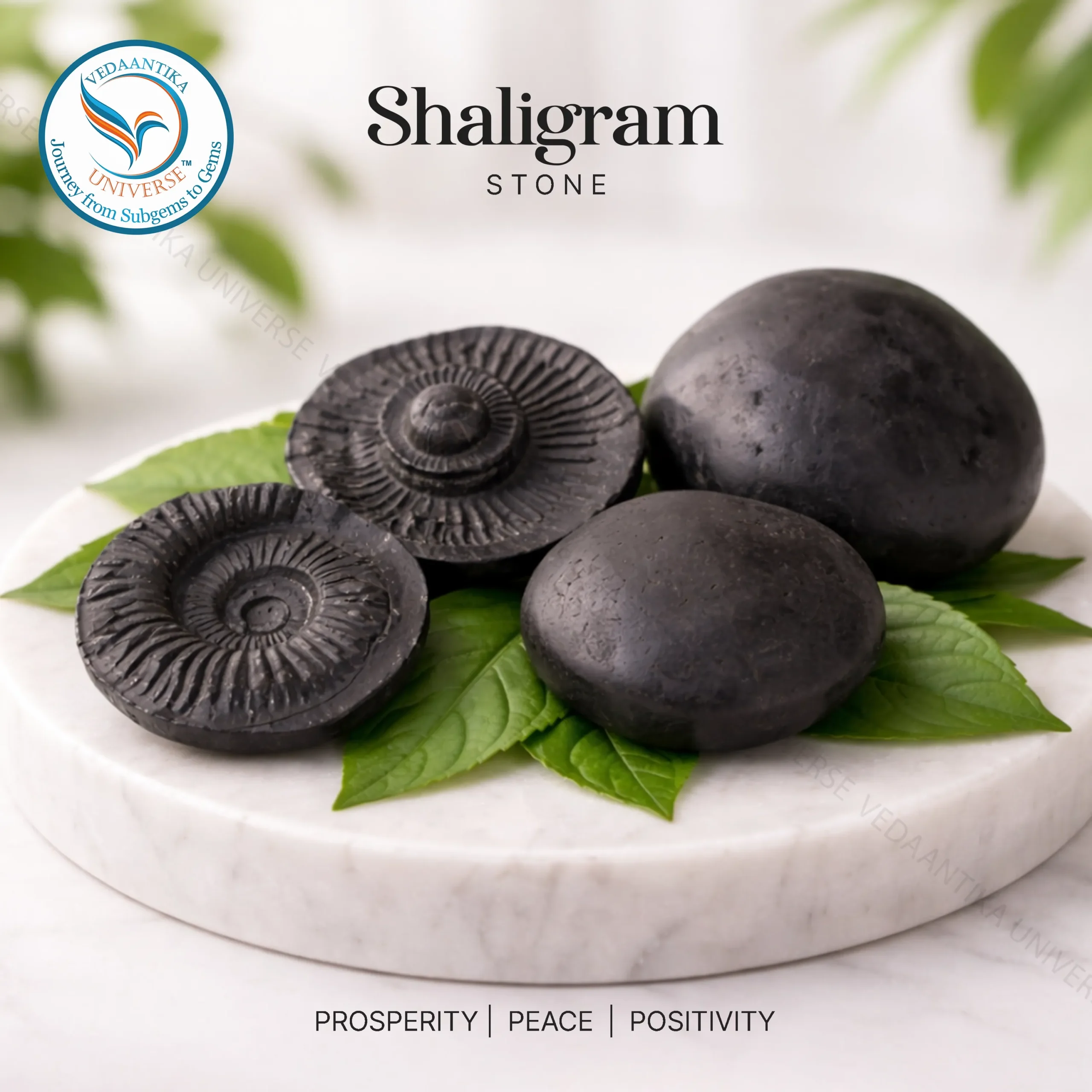 Original Laxmi Narayan Shaligram for prosperity and harmony