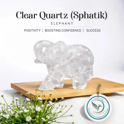 Clear Quartz Elephant (Sphatik)