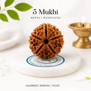 5 Mukhi Nepali Rudraksha for Daily Wear, Meditation & Spiritual Practices