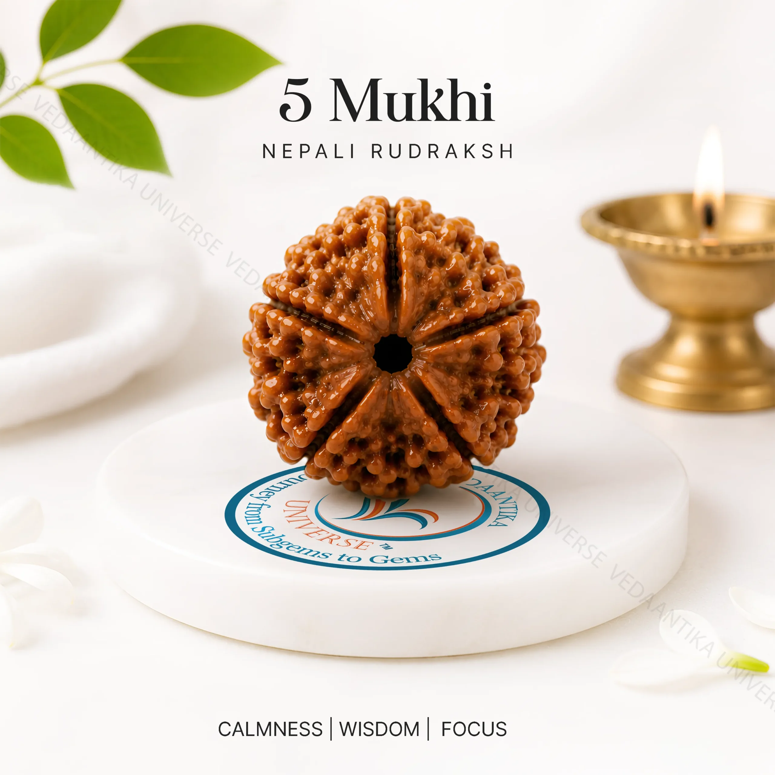 5 Mukhi Rudraksha Mala