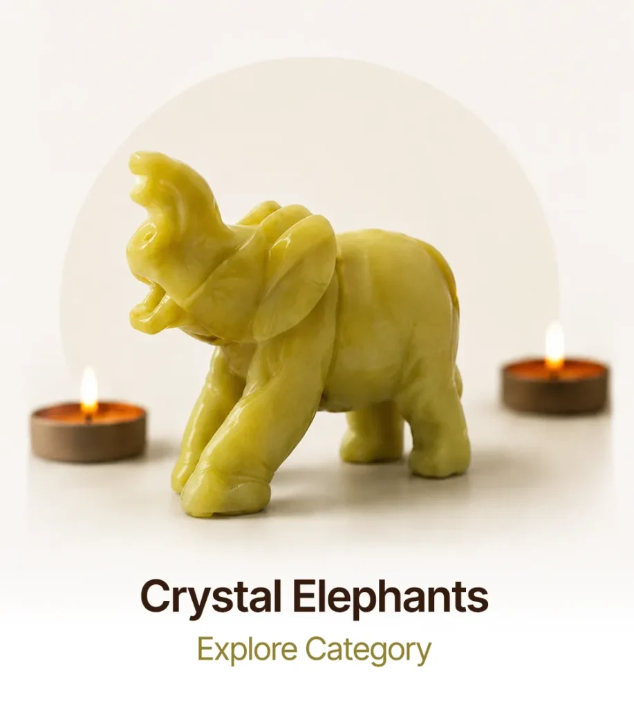 Elephants